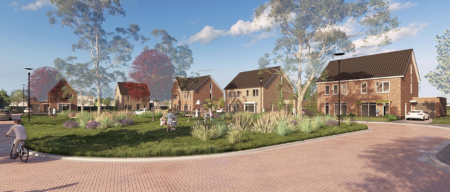 Newsletter Image Weidsvelden