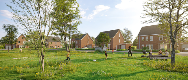 Weidsvelden Newsletter Image